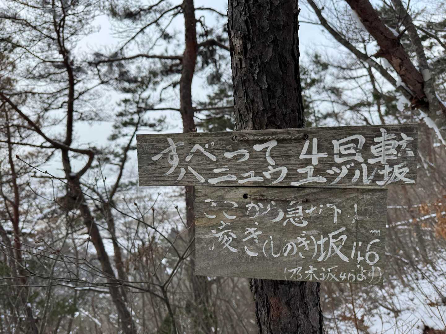 大量の看板は突っ込みきれないので大分割愛
賛否両論あるようだけど、個人的にはたまに見る分には好き