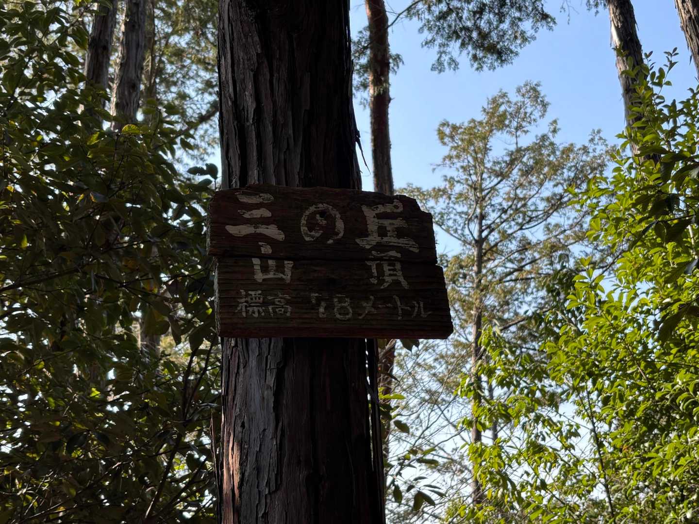 花園駅-双ヶ岡-御室仁和寺駅-御室仁和寺バス停-成就山-御 縦走コースの写真