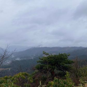 雨の為、眺望は無し