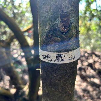 地蔵山
