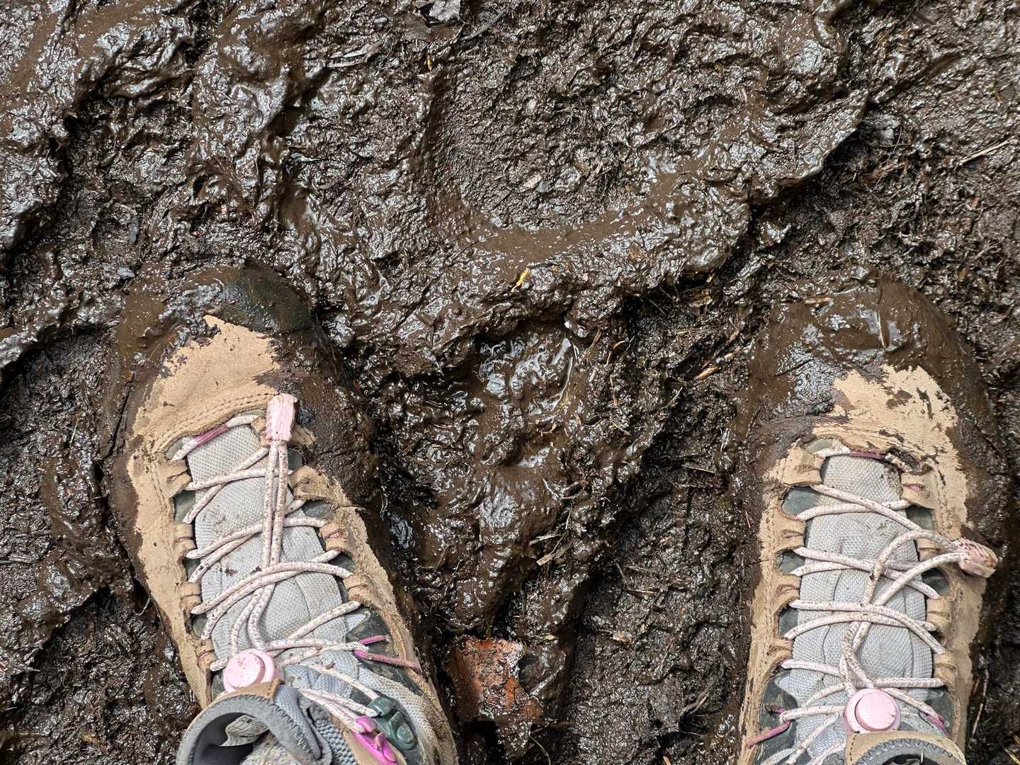 まだ登り直す時間はあったけど、またドロドロの中を歩くのがイヤで諦めました。