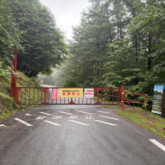バスならこの先の登山口まで通行できるとのこと。