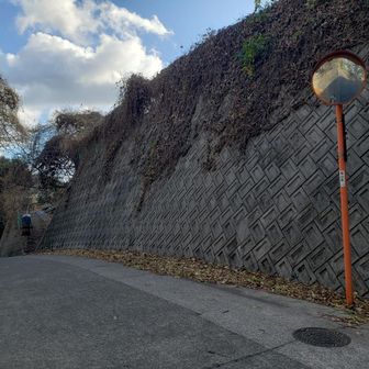 谷田山頂上には行けそうにないので、取りあえず高い所まで。