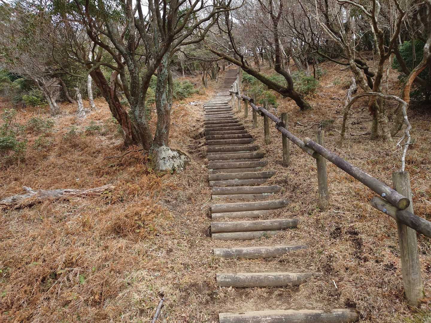 魂の山へ続く階段