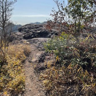 君影ロックに来たみたい。ワクワク