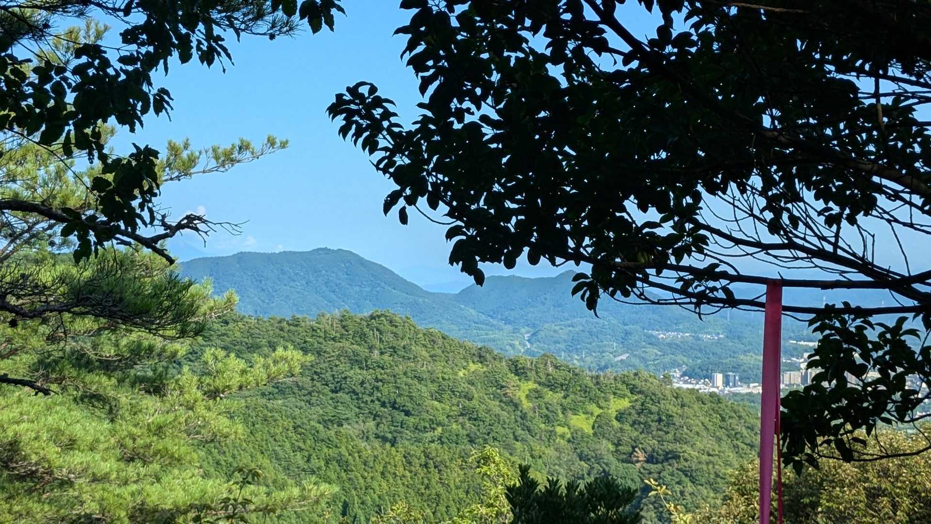 真山-鳥ノ子山-清谷峰 周回コースの写真