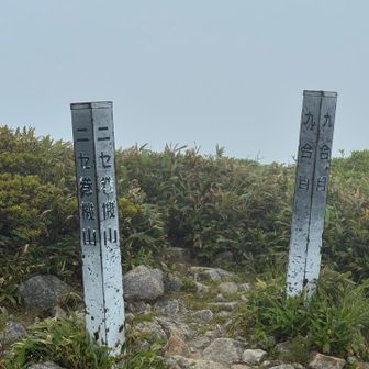 ニセ巻機山着。ここ手前の急登はかなりきつかった。