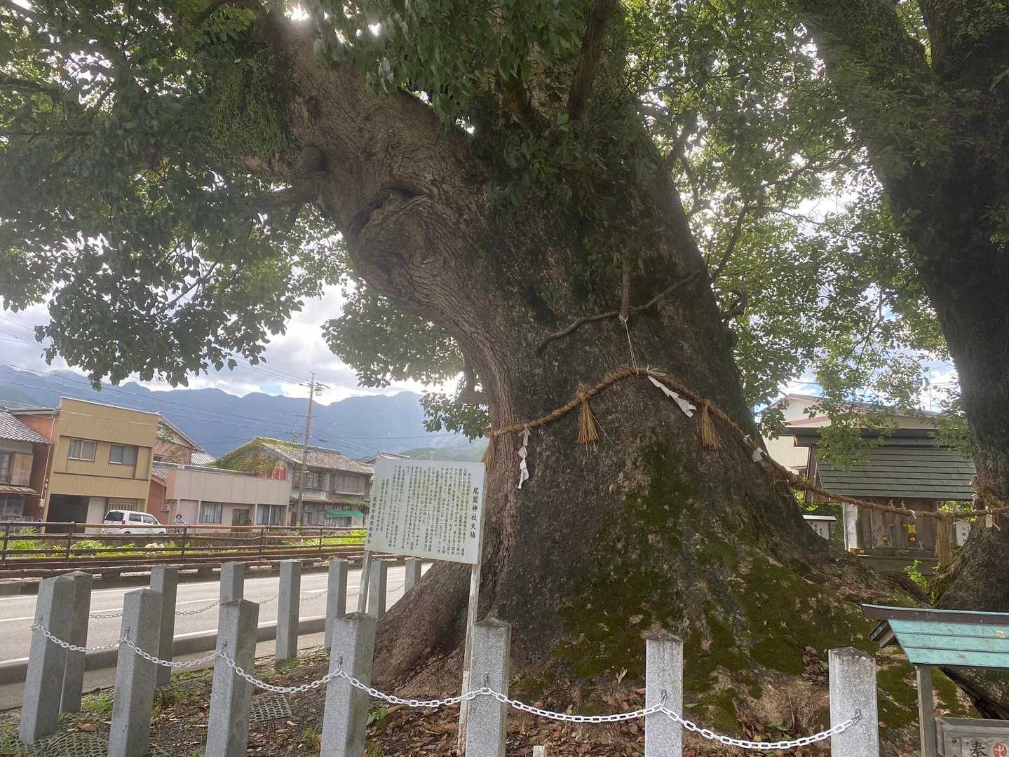 馬越峠登り口-馬越峠-馬越峠登り口 縦走コースの写真