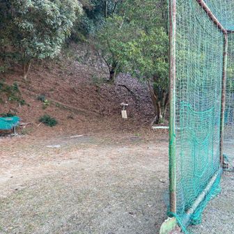 バックネット裏に