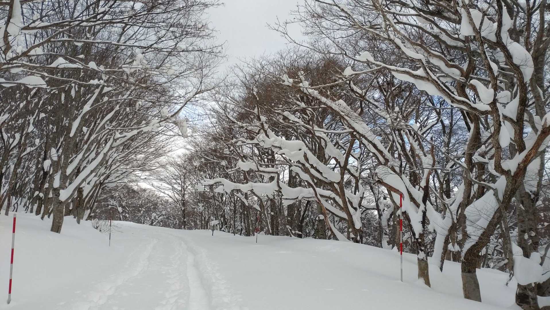 気持ちいいなぁ☃️
トレースのおかげで楽々〜