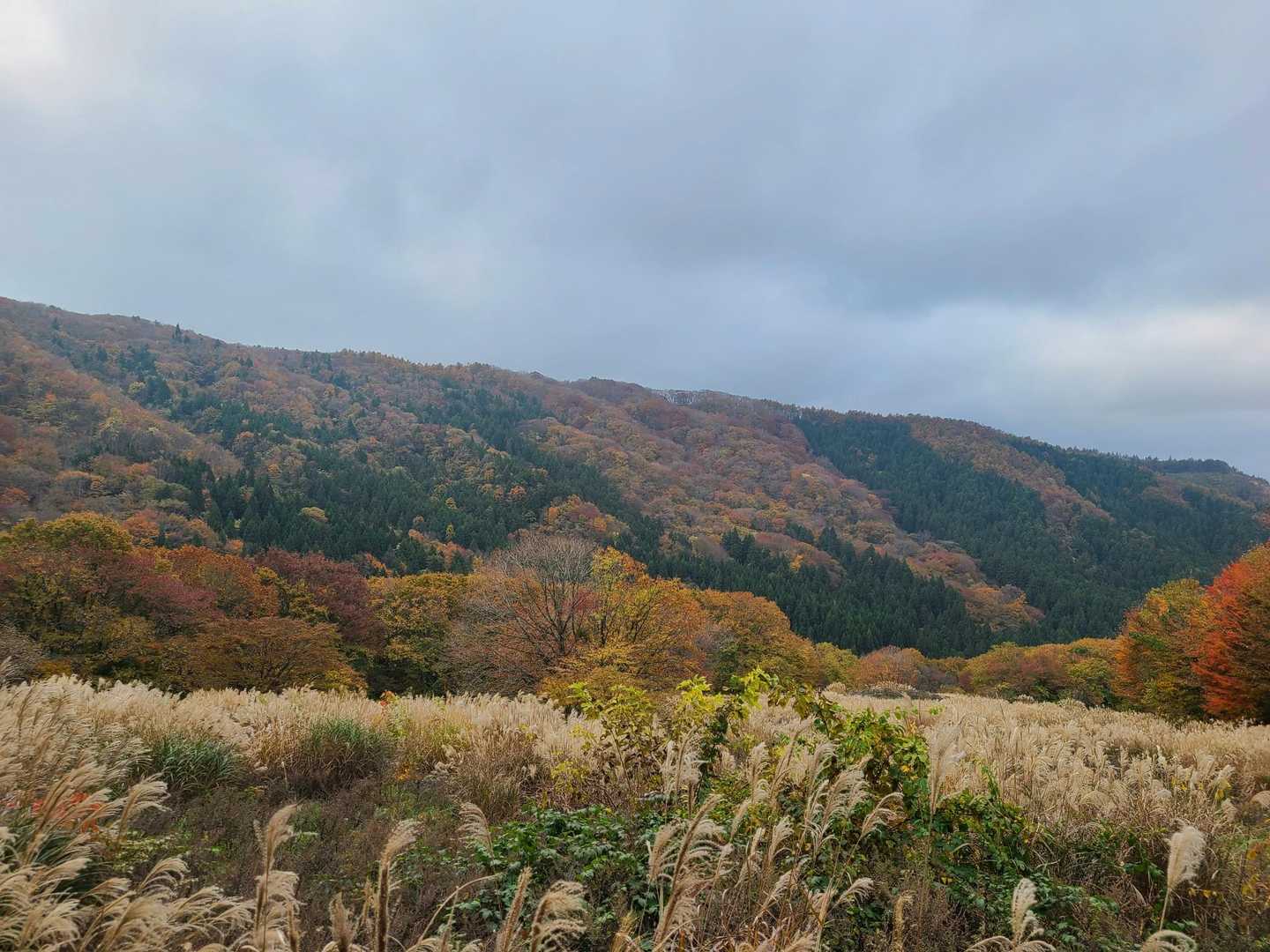 帰りに回る稜線。
山肌は綺麗に紅葉してます。