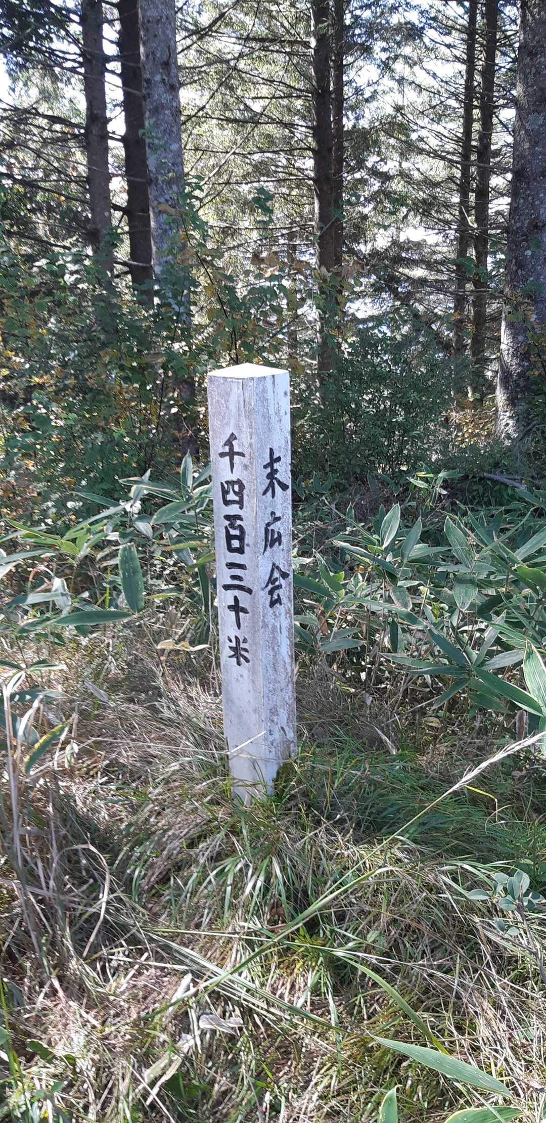 ここにも碑が。
この辺がYAMAP山頂⛰️
