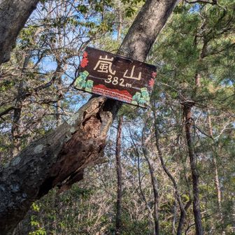 本物の嵐山⛰️