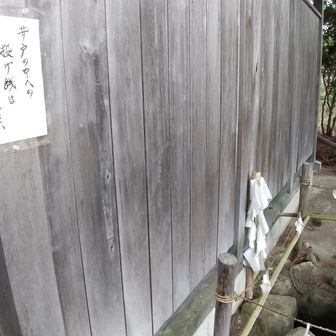 井戸にお金を入れると気が濁る