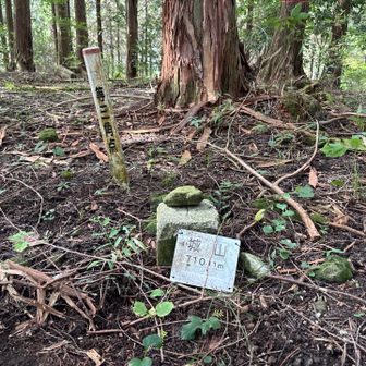 城山登頂