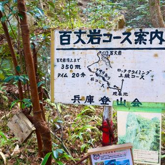 初級者なので、もちろん左の一般コースへ😏