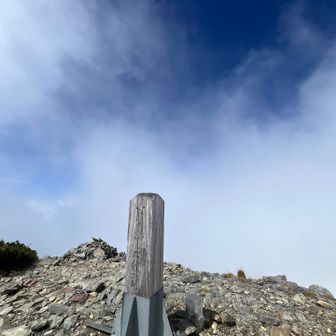 小河内岳‼️
ちょうど、青空！

眺望ゼロ。