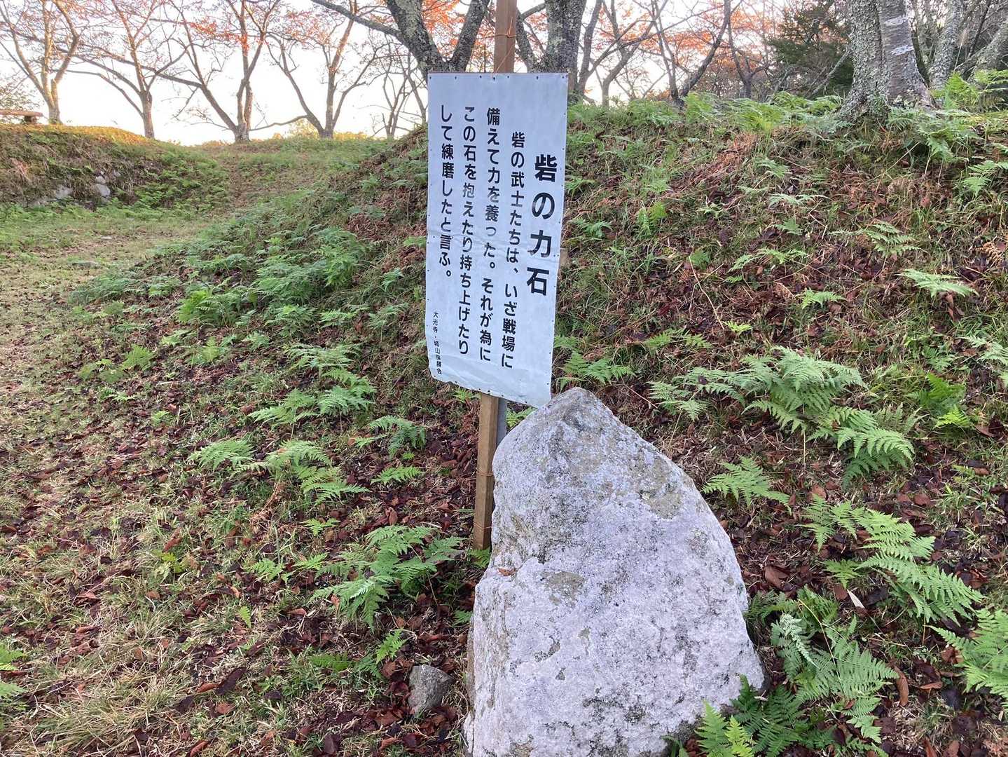 小川城山 往復コースの写真