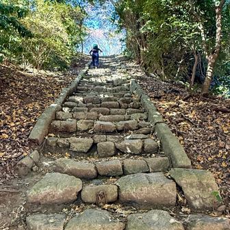 階段を登れば高麗山。