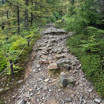 沢沿いを行く、歩きやすい道が続きます。