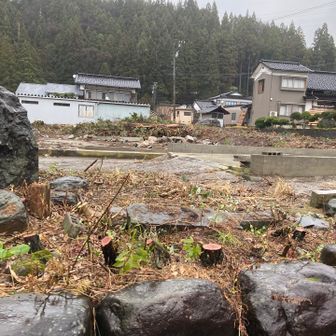 ウチが無くなっていました。
寂しい。