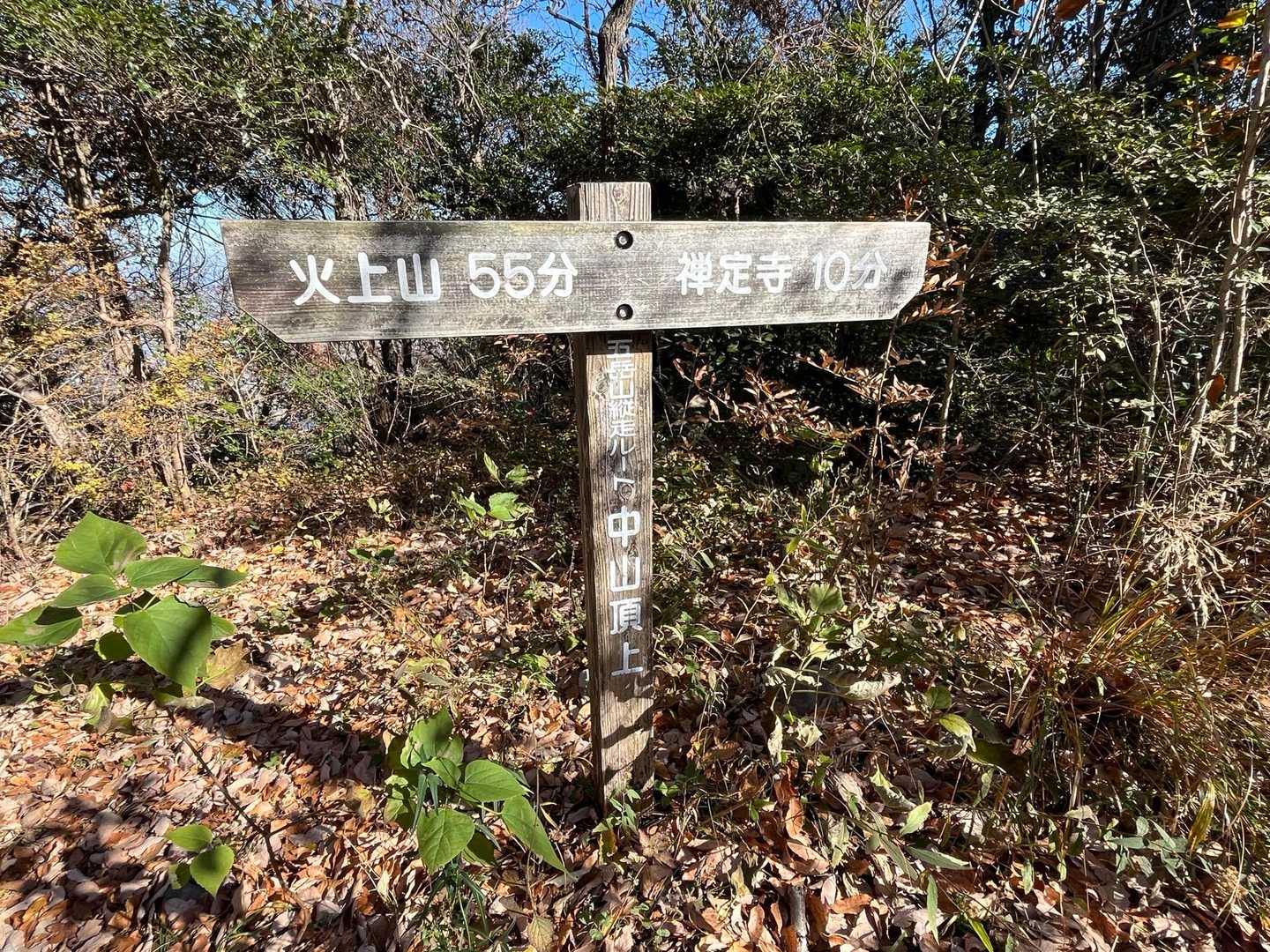 中山、展望なし