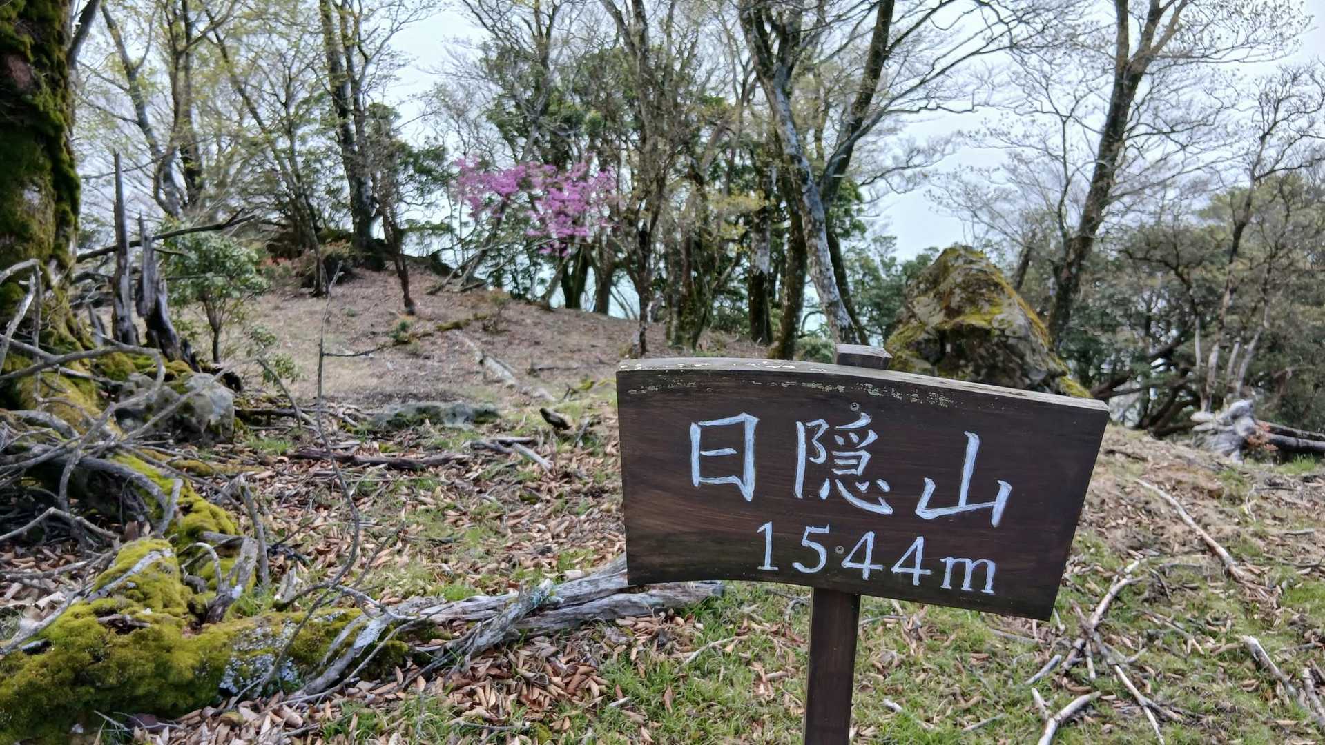 10分で日隠山に到着