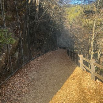 滝から先はウッドチップのフカフカ道