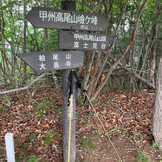 剣が峰。