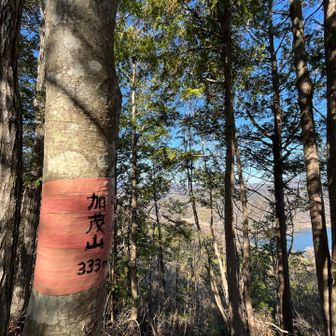 加茂山
333m