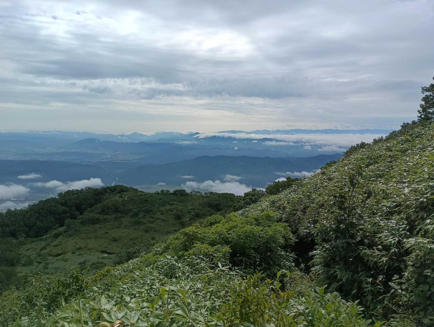 半面山-雲峰山-芦別岳 往復コースの写真