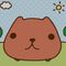 カピバラ