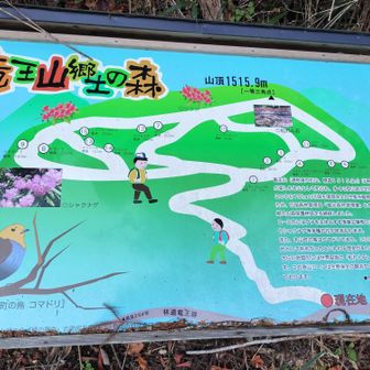 ロードマップ。
奥工石山は竜王山とも呼ぶみたい