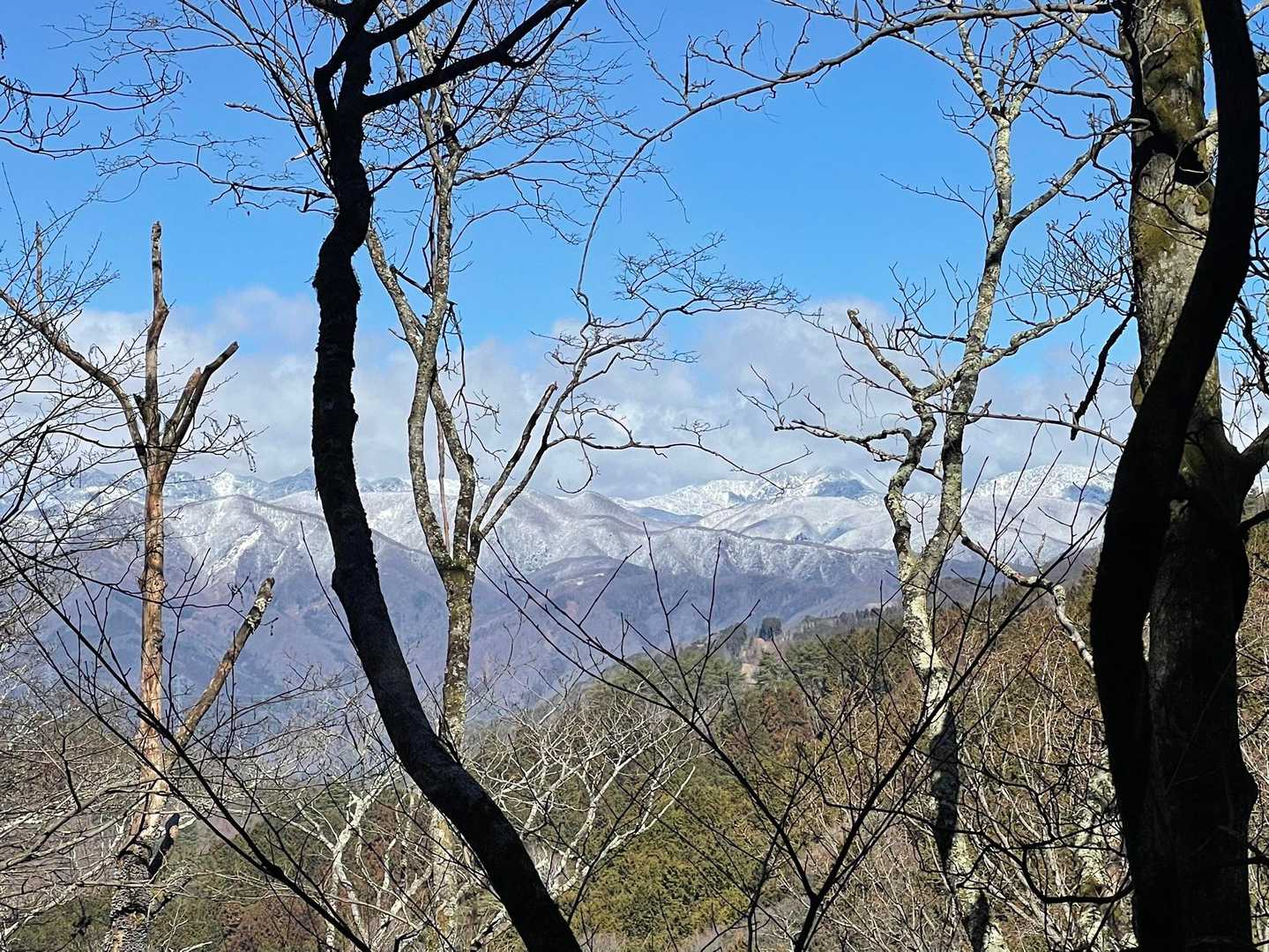 袈裟丸山も真っ白⛄️