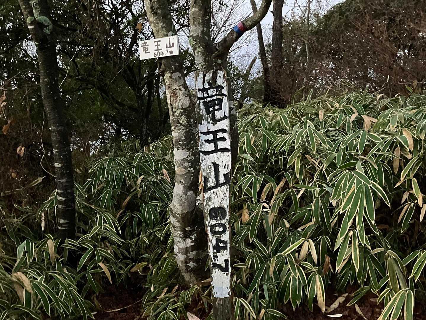 堂々の第３位となった「竜王山」です🥳🎉