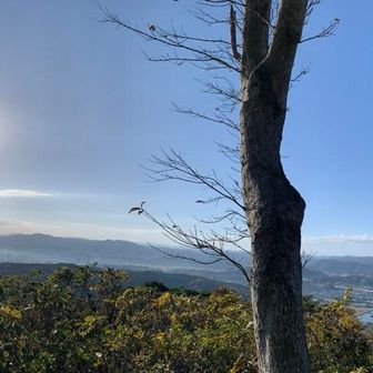 大根島と宍道湖が一望出来ます