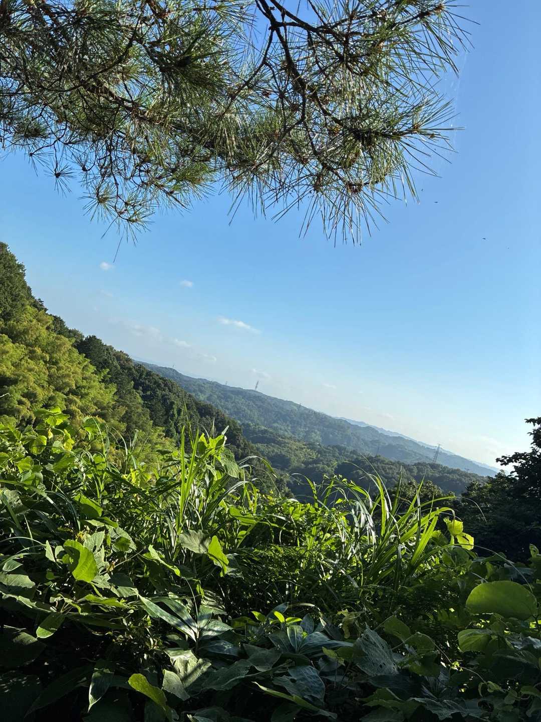 おはよう⛰️