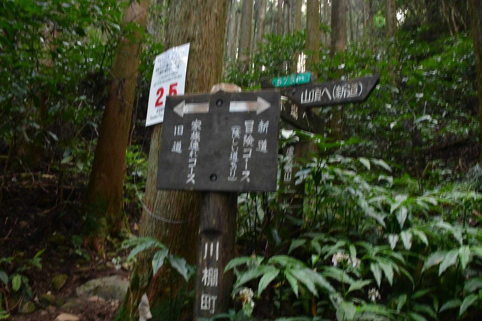 せっかくなので、冒険コースとの分岐まで降り、冒険コースから山頂を目指します。