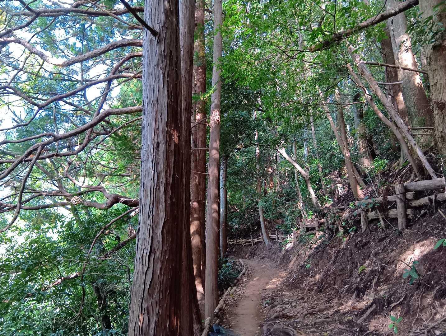 なだらかになった〜
しんどかった〜