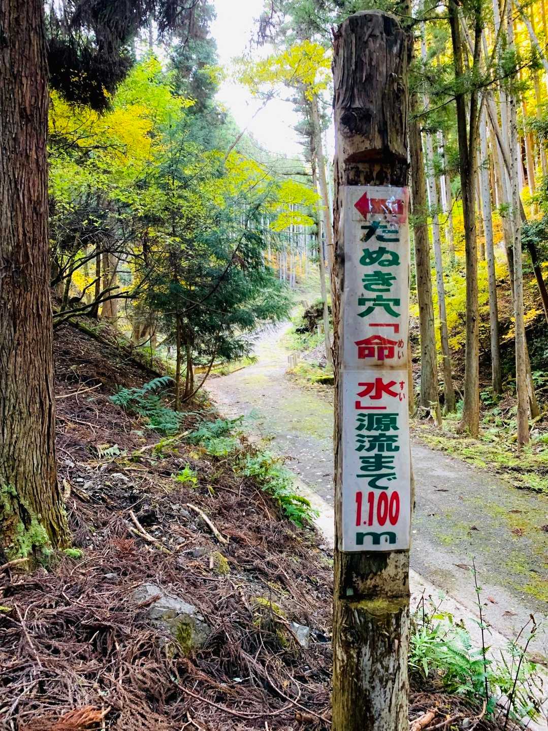 長いサバイバルルートから作業道へ
そして朝歩いた登山道へ😮‍💨
結局、『狸穴命水』源流ってホントにあるのかなぁ🤔
タヌキに化かされたかも…と笑い合った🤣

keiちゃんの100座目登山は無事終了😅