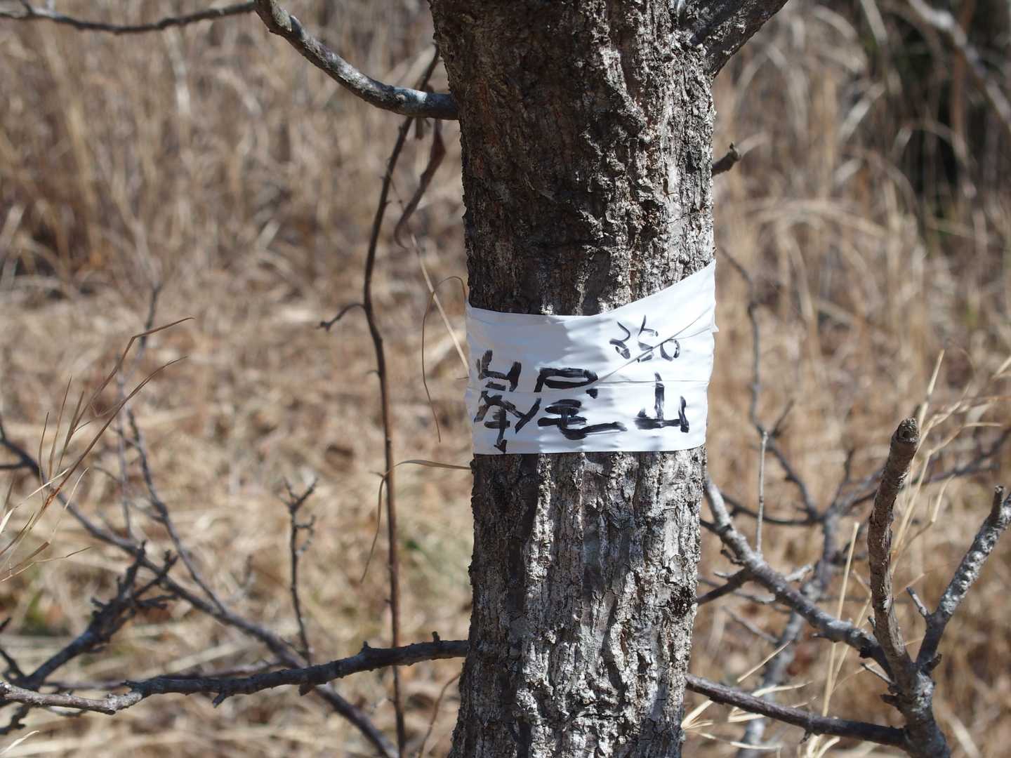 峯尾山