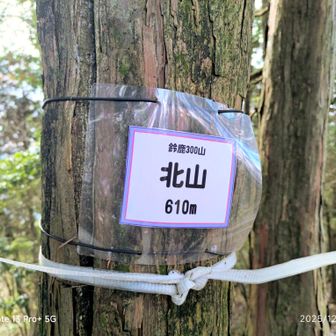 鈴鹿300山なのに
グレーピーク🤭