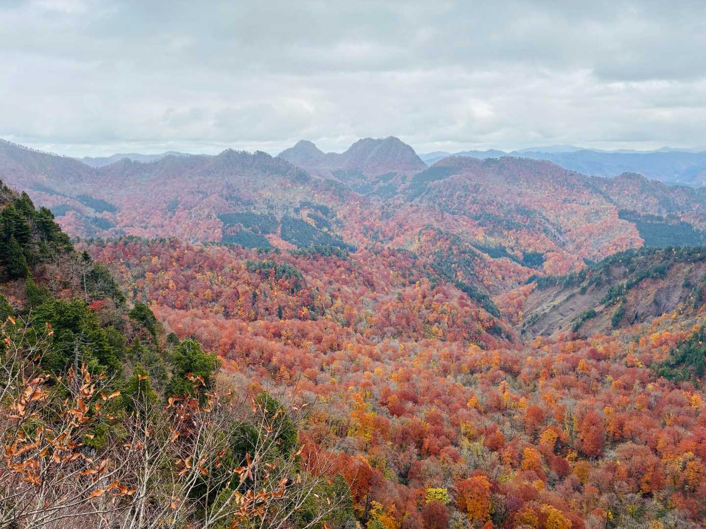 露岩からの景色🪨真ん中は甑山