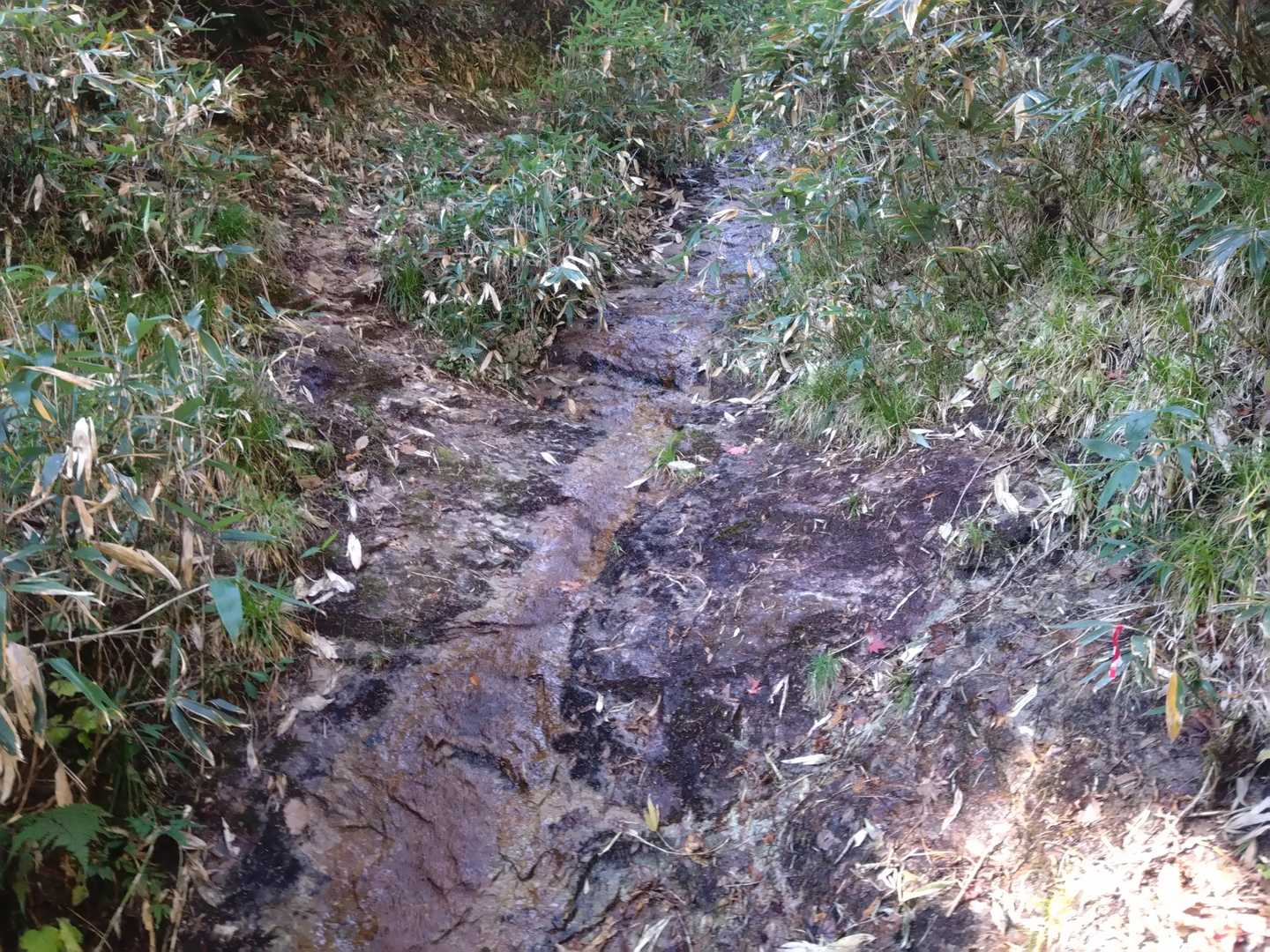 このルート最大の危険ポイント
岩盤上の川をトラバースして越えるポイント
滑ったら止まらないでしょう