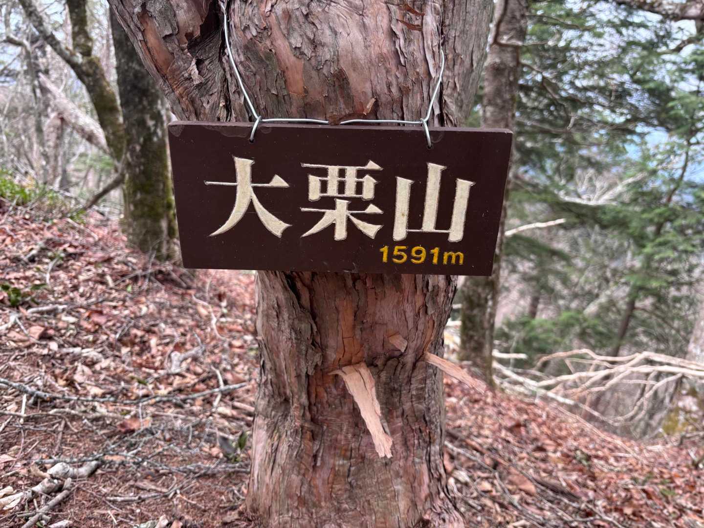 大栗山🩶
プレミア山標