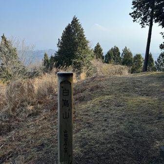 すげぇ砂
この距離で富士山ほぼ見えんのやばい