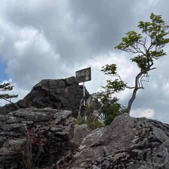 お姫山は本日三座目です。
そして、ここでちょうど400座です！🙌