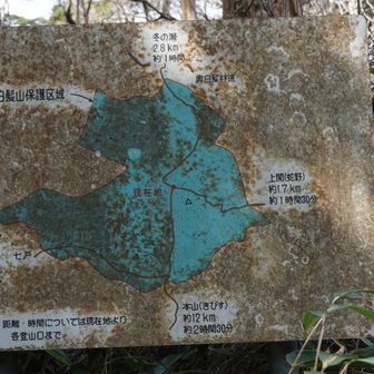 ここで合流するのか🧐