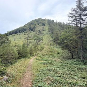 笠取山の急坂へ