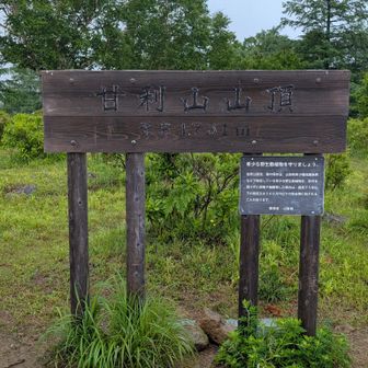 雨の山頂。

